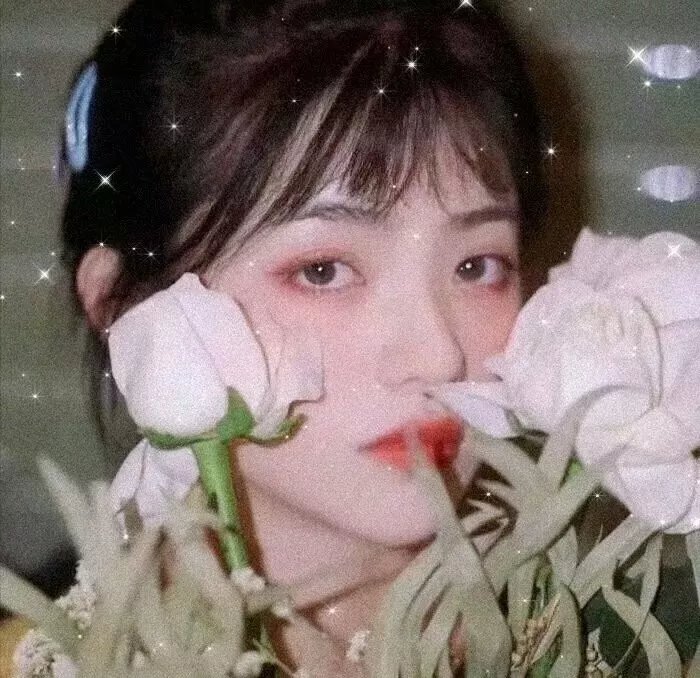 蜜月变奏曲
